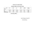 BẢNG SẢN LƯỢNG HÀNG