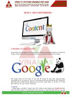 Seo Copywrite - Maketing Online