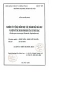 Nghiên cứu về đặc điểm thực vật, thành phần hóa học và một số tác dụng sinh học của cây mắc rạc(delavaya toxocarpa pranch   sapindaceae)