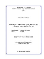 Xây dựng chiến lược kinh doanh cho công ty Vineco đến năm 2015