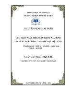 Các giải pháp phát triển sản phẩm phái sinh cho các ngân hàng thương mại Việt Nam