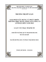 Giải pháp xây dựng và phát triển thương hiệu hàng nông sản Công ty Antesco đến năm 2015