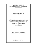Hoàn thiện hoạt động quản trị nguồn nhân lực tại công ty điện lực Ninh Thuận đến năm 2020
