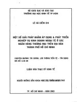 MỘT SỐ GIẢI PHÁP NHẰM ÁP DỤNG VÀ PHÁT TRIỂN NGHIỆP VỤ KINH DOANH NGOẠI TỆ Ở CÁC NGÂN HÀNG THƯƠNG MẠI TRÊN ĐỊA BÀN THÀNH PHỐ HỒ CHÍ MINH