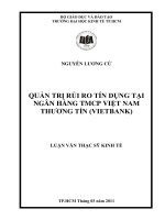 Quản trị rủi ro tín dụng tại Ngân hàng thương mại cổ phần Việt Nam Thương Tín (Vietinbank)