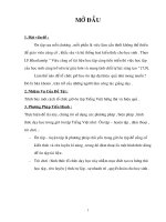 SKKN tổ chức giờ ôn tập Tiếng Việt hứng thú và hiệu qủa.DOC