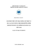 Giải pháp thúc đẩy hoạt động sáp nhập và mua lại ngân hàng theo định hướng hình thành Tập đoàn tài chính ngân hàng tại Việt Nam