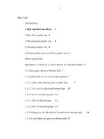 Một số giải pháp nâng cao hiệu quả quản trị thương hiệu tại công ty TNHH một thành viên du lịch Trâu Việt Nam