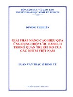 Giải pháp nâng cao hiệu quả ứng dụng hiệp ước Basel II trong quản trị rủi ro của các ngân hàng thương mại Việt Nam