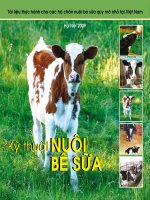 Tài liệu Kỹ thuật nuôi bê sữa - Dự án bò sữa Việt Bỉ (2005 - 2010)