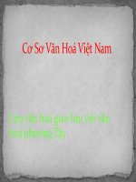 Cơ Sơ Văn Hoá Việt Nam