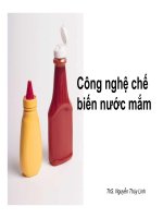 Công nghệ chế biến nước mắm