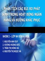 PHÂN TÍCH CÁC RỦI RO PHÁT SINH TRONG HOẠT ĐỘNG NGÂN HÀNG VÀ HƯỚNG KHẮC PHỤC