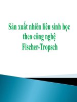 sản xuất nhiên liệu sinh học theo công nghệ fischer - tropsch