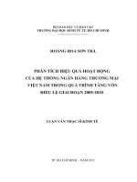 Phân tích hiệu quả hoạt động của hệ thống ngân hàng thương mại Việt Nam trong quá trình tăng vốn điều lệ giai đoạn 2005-2010