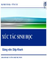động học xúc tác   xúc tác sinh học