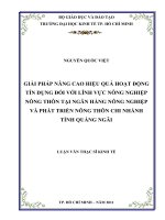 Giải pháp nâng cao hiệu quả hoạt động tín dụng đối với lĩnh vực nông nghiệp nông thôn tại ngân hàng nông nghiệp và phát triển nông thôn chi nhánh tỉnh Quảng Ngãi