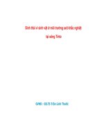 Sinh thái vi sinh vật ở môi trường axit khắc nghiệt tại sông Tinto