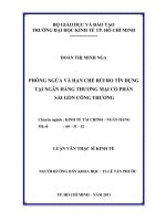 Phòng ngừa và hạn chế rủi ro tín dụng tại Ngân hàng thương mại cổ phần Sài gòn công thương