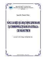 Nâng cao hiệu quả hoạt động kinh doanh tại COMMONWEALTH BANK OF AUSTRALIA  Chi nhánh TP Hồ Chí Minh