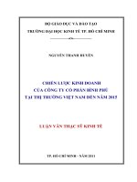 Chiến lược kinh doanh của công ty cổ phần Bình Phú tại thị trường Việt Nam đến năm 2015