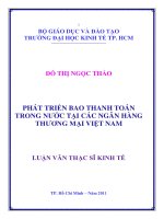 Phát triển bao thanh toán trong nước tại các ngân hàng thương mại Việt Nam