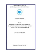 NHẬN DẠNG VÀ ƯỚC LƯỢNG THIỆT HẠI VÔ HÌNH CỦA NGƯỜI DÂN BỊ THU HỒI ĐẤT DỰ ÁN THẢO CẦM VIÊN HUYỆN CỦ CHI , TPHCM.PDF