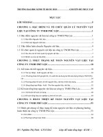 Hoàn thiện kế toán nguyên liệu vật liệu tại Công ty TNHH Phú Lộc