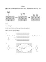 bài tập về hóa xúc tác