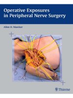 Mổ giải phẫu dây thần kinh