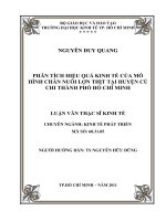 Phân tích hiệu quả kinh tế của mô hình chăn nuôi lợn thịt tại huyện Củ Chi thành phố Hồ Chí Minh