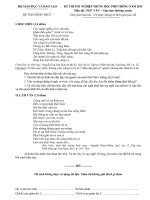 Đề thi tốt nghiệp Trung học phổ thông năm 2014 môn Ngữ Văn - Giáo dục thường xuyên