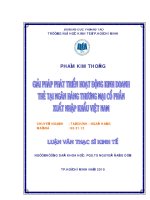 Giải pháp phát triển hoạt động kinh doanh thẻ tại ngân hàng thương mại cổ phần xuất khẩu Việt Nam