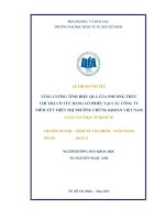 Tăng cường tính hiệu quả của phương thức chi trả cổ tức bằng cổ phiếu tại các công ty niêm yết trên thị trường chứng khoán Việt Nam