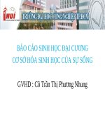 BÁO CÁO SINH HỌC ĐẠI CƯƠNG CƠ SỞ HÓA SINH HỌC CỦA SỰ SỐNG