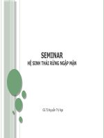 SEMINAR HỆ SINH THÁI RỪNG NGẬP MẶN