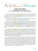 Kỹ thuật kích thích cây Xoài ra hoa đậu trái