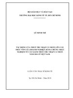 Tác động của thuế thu nhập cá nhân lên cấu trúc vốn của doanh nghiệp. Bằng chứng thực nghiệm từ cắt giảm thuế thu nhập cá nhân năm 2011 ở Việt Nam