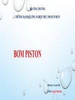 BƠM PISTON