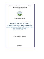 Định tính một số loài thuộc chi lactobacillus trong chế phẩm probiotics lưu hành trên thị trường bằng kỹ thuật PCR