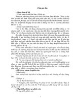 SKKN Dạy lý thuyết văn miêu tả cho học sinh lớp 4