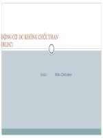 ĐỘNG CƠ DC KHÔNG CHỔI THAN (BLDC)