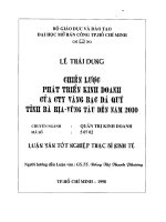 Chiến lược phát triển kinh doanh của công ty vàng bạc đá quý tỉnh Bà Rịa - Vũng Tàu đến năm 2010