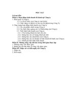 Thực trạng hoạt động kinh doanh của Công Ty TNHH Du Lịch và biểu diễn nghệ thuật Tân Đại Phát