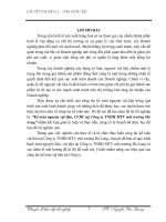 Kế toán nguyên vật liệu, CCDC tại công ty TNHH MTV môi trường hà long