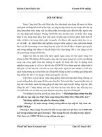 Giải pháp tăng cường thu hút vốn đầu tư trực tiếp của Việt Nam sang Cộng Hoà Dân Chủ Nhân Dân Lào