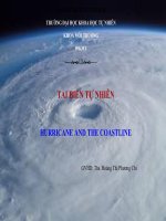 TAI BIẾN TỰ NHIÊN HURRICANE AND THE COASTLINE
