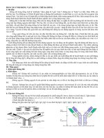 BÁO cáo công nghệ sinh học   kháng thể đa dòng