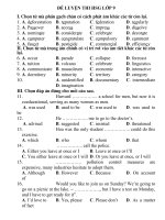 Bài tập luyện thi HSG tiếng Anh lớp 9