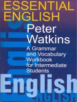 Essential english a grammar and vocabul